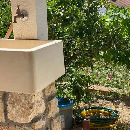 Lavanda Pensión Milna (Brac)